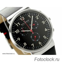 Наручные часы Skagen SKW6100