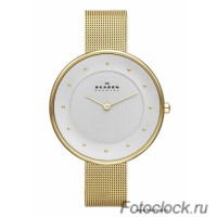 Наручные часы Skagen SKW2141