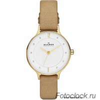 Наручные часы Skagen SKW2146