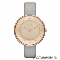 Наручные часы Skagen SKW2139