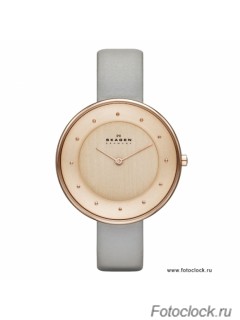 Наручные часы Skagen SKW2139