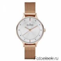 Наручные часы Skagen SKW2151