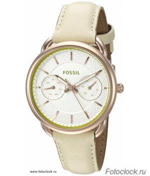 Наручные часы Fossil ES 3954 / ES3954
