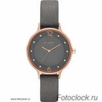 Наручные часы Skagen SKW2267
