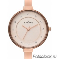 Наручные часы Skagen SKW2230