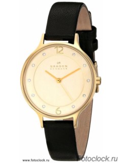 Наручные часы Skagen SKW2266