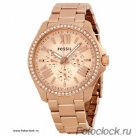 Наручные часы Fossil AM 4483 / AM4483