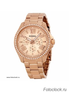 Наручные часы Fossil AM 4483 / AM4483
