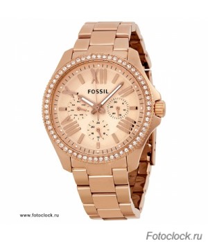 Наручные часы Fossil AM 4483 / AM4483