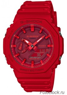 CASIO GA-2100-4A