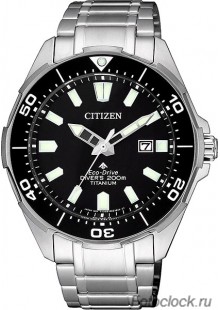 Наручные часы Citizen Eco-Drive BN0200-81E
