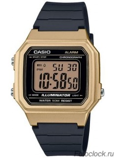 Casio W-217HM-9A