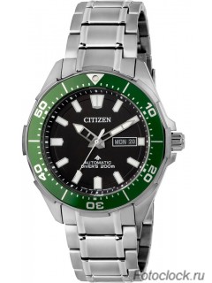 Наручные часы Citizen NY0071-81EE