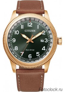 Наручные часы Citizen Eco-Drive BM7483-15X