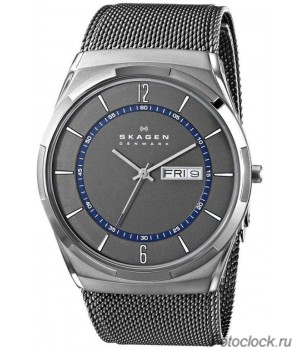 Наручные часы Skagen SKW6078
