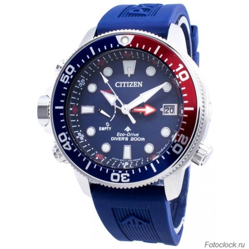 Наручные часы Citizen Eco-Drive BN2038-01L