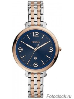 Наручные часы Fossil ES 4925 / ES4925