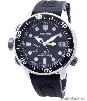 Наручные часы Citizen Eco-Drive BN2036-14E