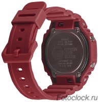 Ремешок для часов Casio GA-2100-4A (10632712)