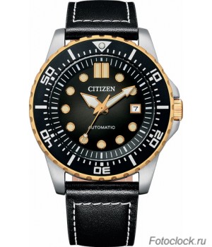 Наручные часы Citizen NJ0176-10E