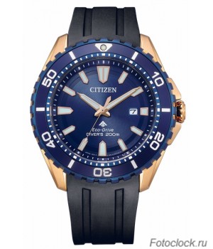 Наручные часы Citizen Eco-Drive BN0196-01L