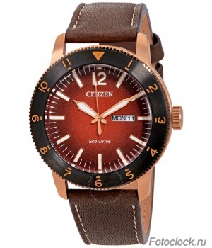 Наручные часы Citizen Eco-Drive AW0079-13X