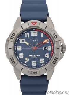 Наручные часы Timex TW2V40800
