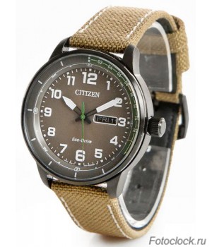 Наручные часы Citizen Eco-Drive BM8595-16H