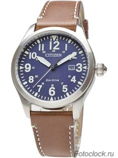 Наручные часы Citizen Eco-Drive BM6838-33L