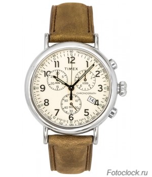 Наручные часы Timex TW2V27600