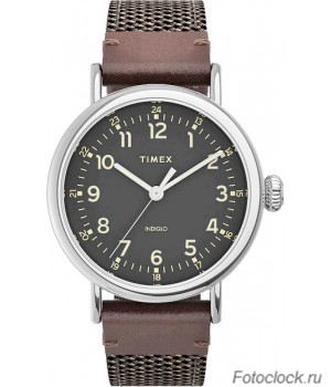 Наручные часы Timex TW2U89600