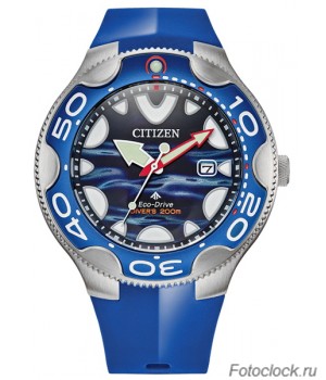Наручные часы Citizen Eco-Drive BN0238-02L