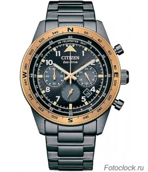 Наручные часы Citizen Eco-Drive CA4556-89E