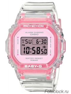 Casio BGD-565SJ-7