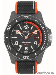 Наручные часы Timex TW2V66100