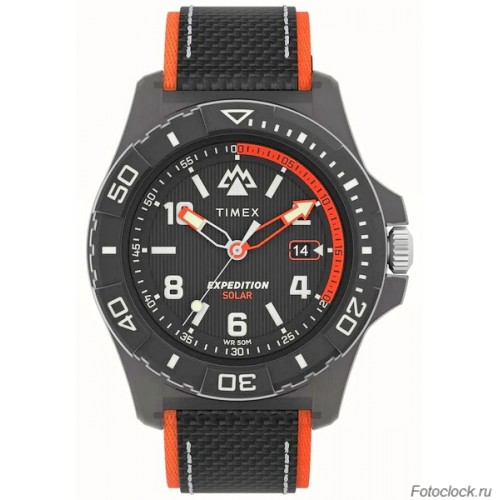 Наручные часы Timex TW2V66100