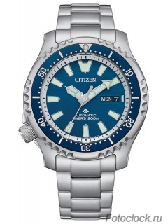 Наручные часы Citizen NY0161-63L