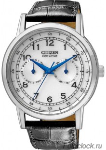 Наручные часы Citizen Eco-Drive AO9000-06B