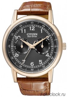 Наручные часы Citizen Eco-Drive AO9003-08E