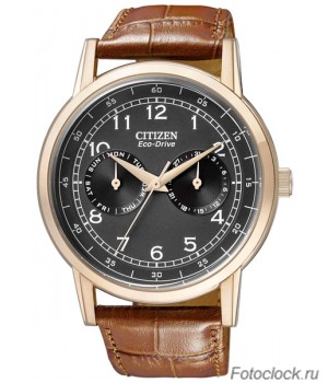 Наручные часы Citizen Eco-Drive AO9003-08E