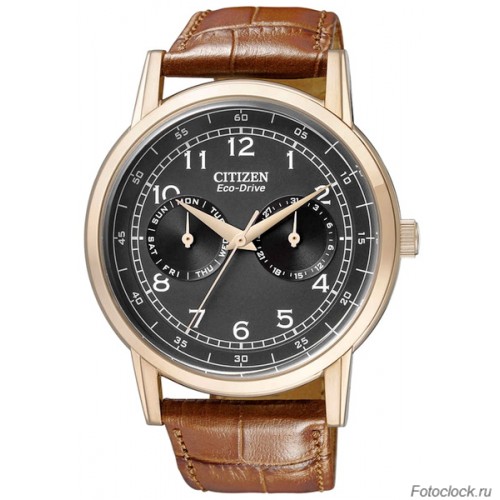 Наручные часы Citizen Eco-Drive AO9003-08E