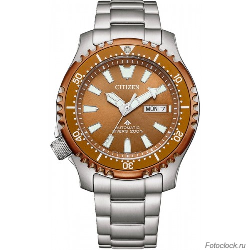 Наручные часы Citizen NY0164-65X