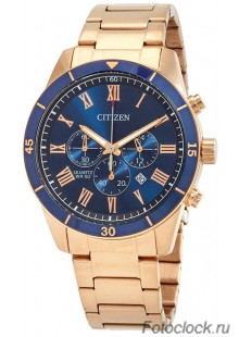 Наручные часы Citizen AN8169-58L