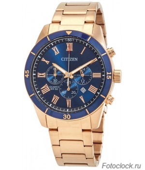 Наручные часы Citizen AN8169-58L