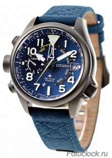 Наручные часы Citizen Eco-Drive BN4065-07L