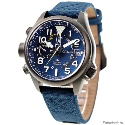 Наручные часы Citizen Eco-Drive BN4065-07L