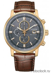 Наручные часы Citizen Eco-Drive CA0843-11H