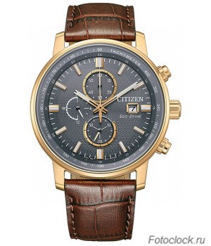 Наручные часы Citizen Eco-Drive CA0843-11H