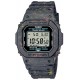 Casio G-5600BG-1