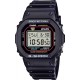Casio DW-5600RL-1